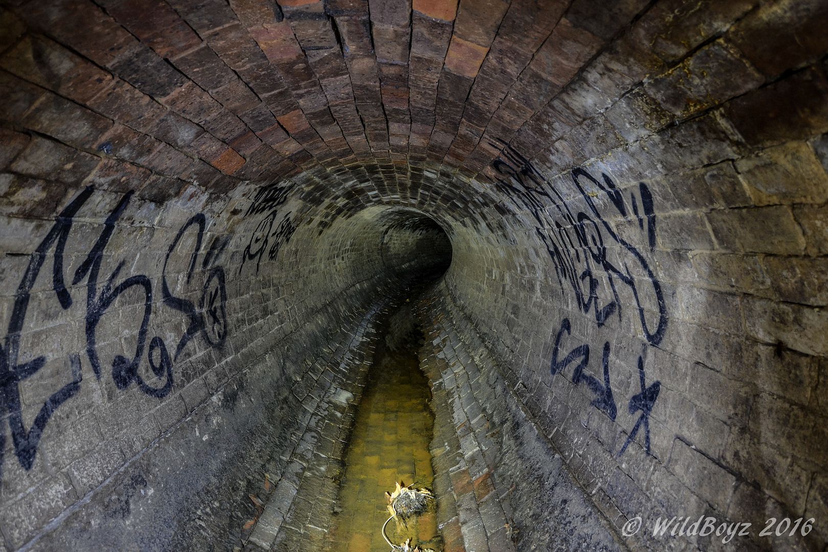 Burford's Batcave, Brisbane December 2015 Oblivion State Urban